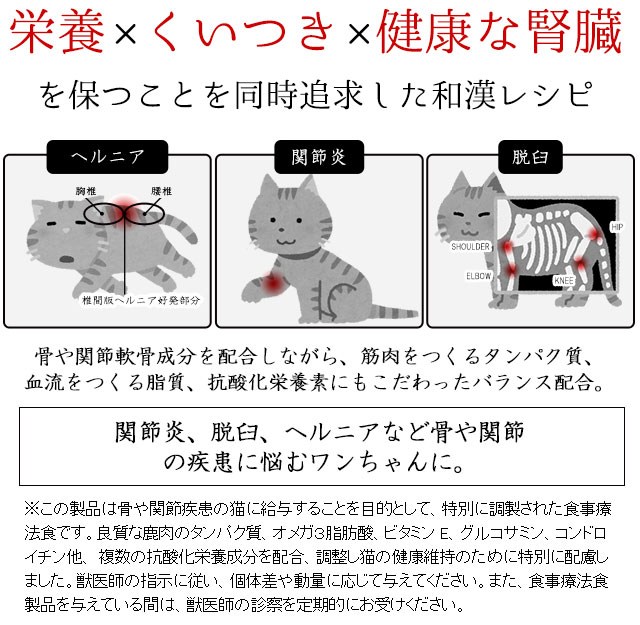 猫の足や腰の骨関節・ヘルニア対策・予防の食事療法～和漢・みらいの