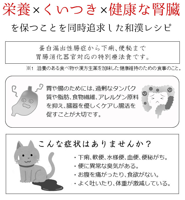 猫の蛋白漏出性腸症・炎症性腸疾患（IBD)）など胃腸対策の食事療法 