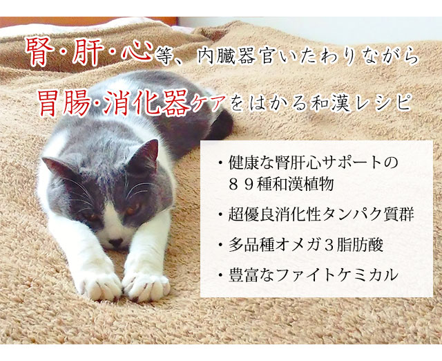 猫の蛋白漏出性腸症 炎症性腸疾患 Ibd など胃腸対策の食事療法 和漢 みらいのキャットフード 胃腸 消化器用