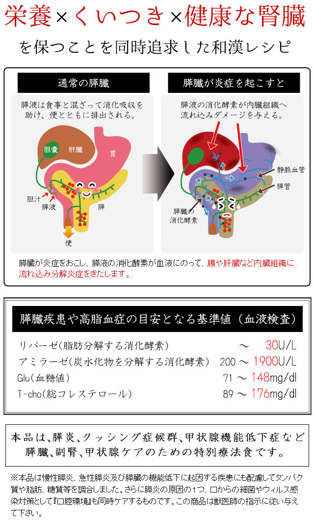 猫の膵臓（すい臓）・膵炎・クッシング・甲状腺機能低下症対策の食事 