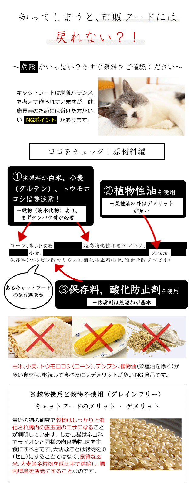 成猫 幼猫用の長生き 長寿 用の食事 和漢 みらいのキャットフード