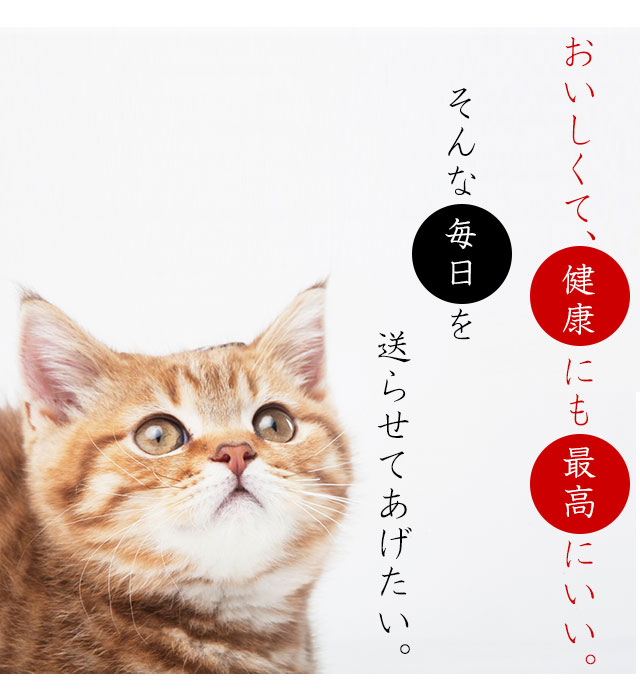 猫のストラバイト結石（ストルバイト結石）・膀胱結石・腎臓結石・尿酸 