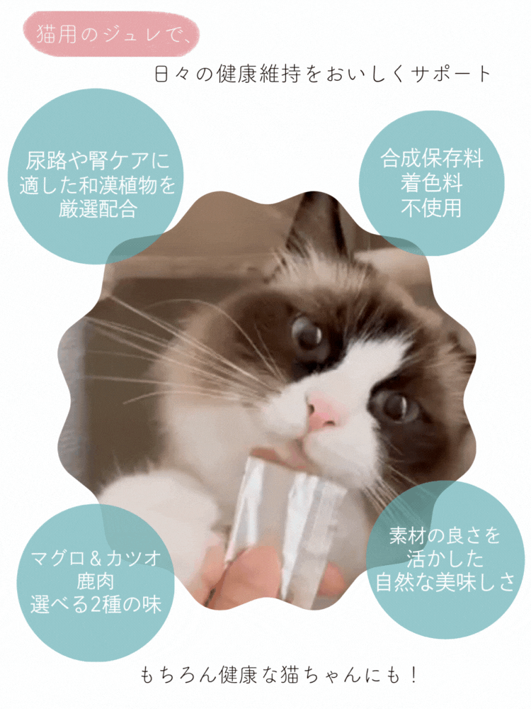 腎ケアジュレ 鹿肉｜国産・無添加の猫用おやつ