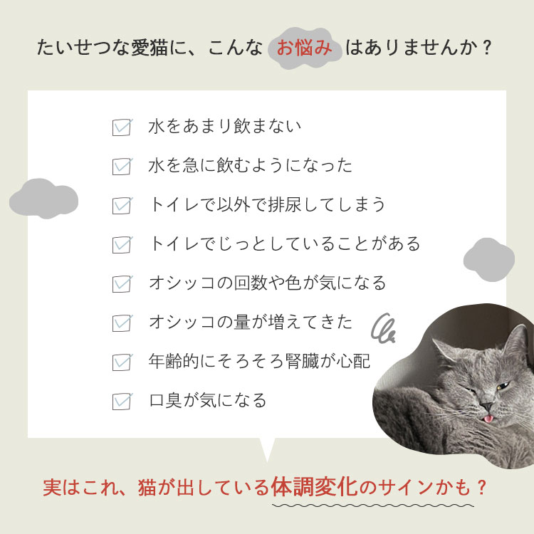 腎ケアジュレ｜国産・無添加の猫用おやつ2