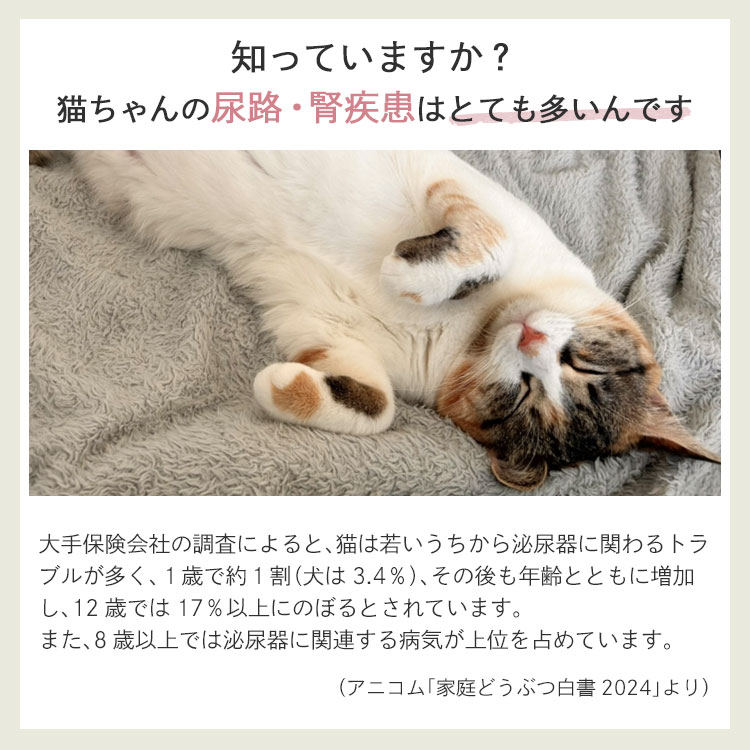 腎ケアジュレ｜国産・無添加の猫用おやつ3