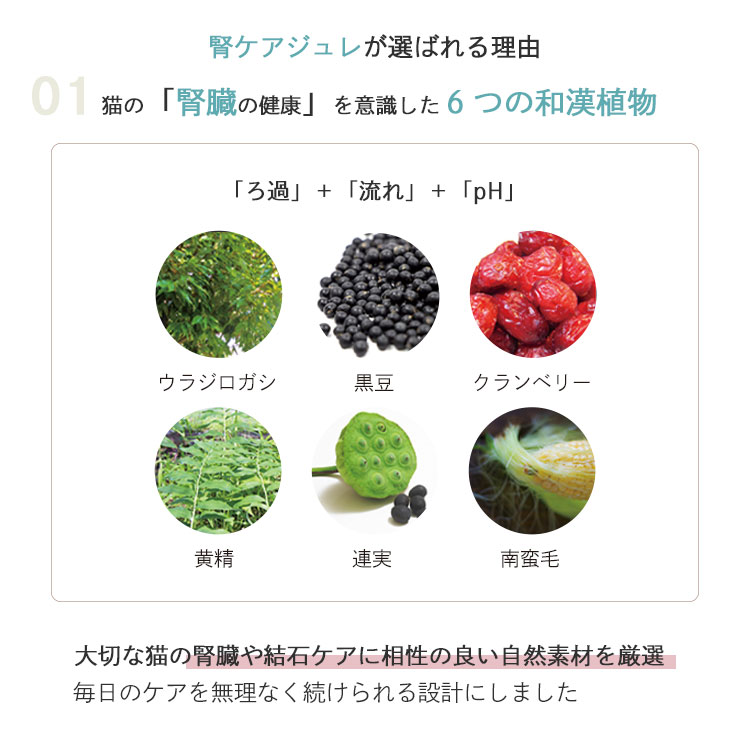 腎ケアジュレ｜国産・無添加の猫用おやつ6