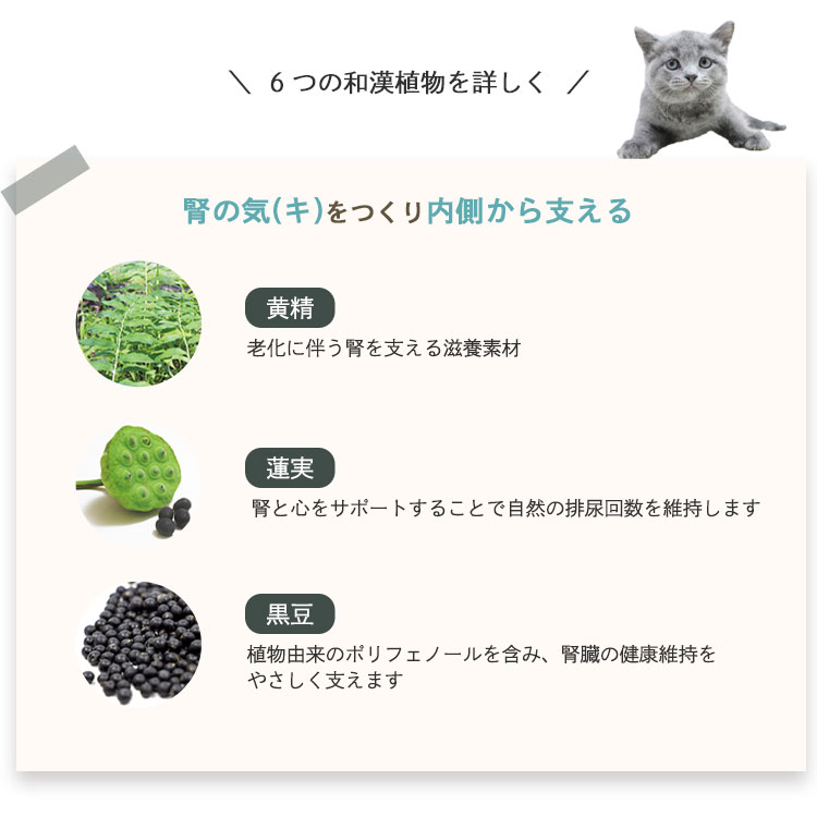 腎ケアジュレ｜国産・無添加の猫用おやつ7