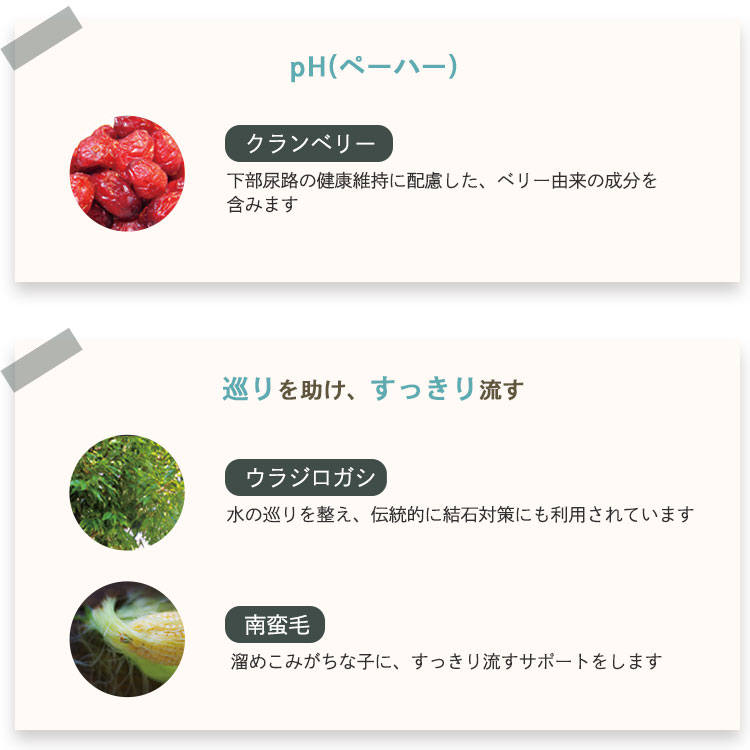 腎ケアジュレ｜国産・無添加の猫用おやつ8