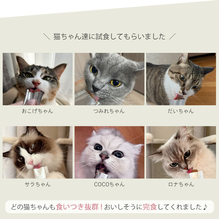 腎ケアジュレ｜国産・無添加の猫用おやつ10