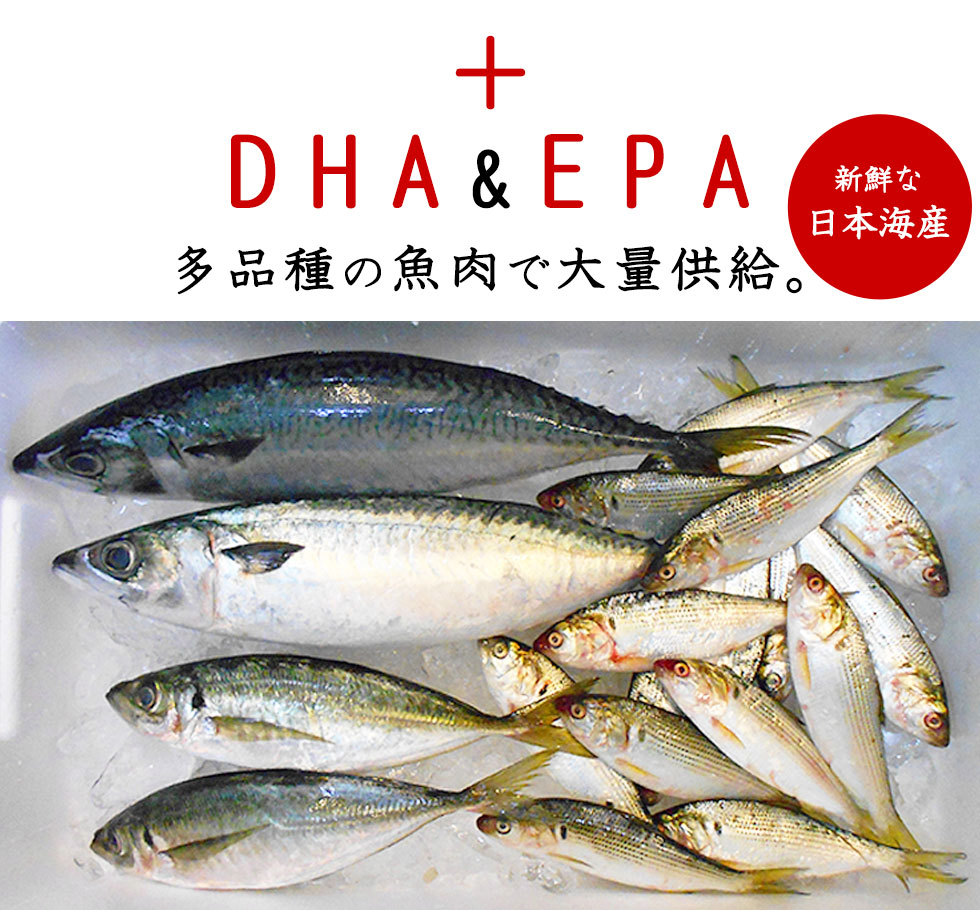 DHA&EPA多品種の魚肉で大量供給。