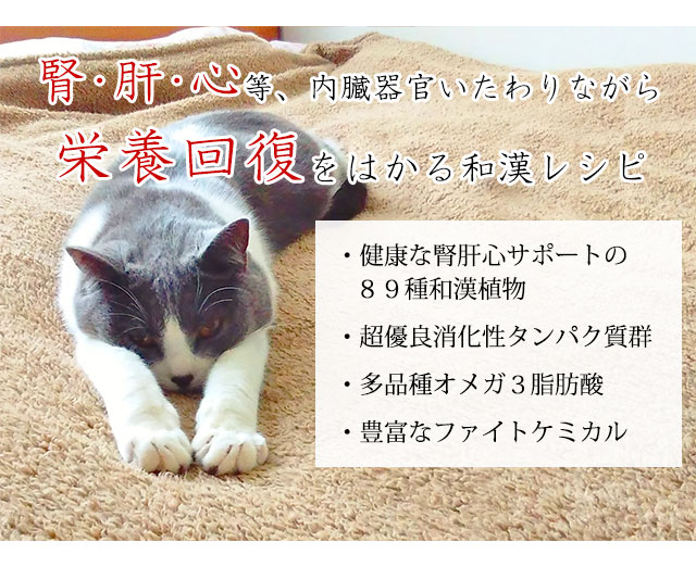 愛がん猫の食事療法~無添加・和漢みらいのキャットフード(癌・腫瘍